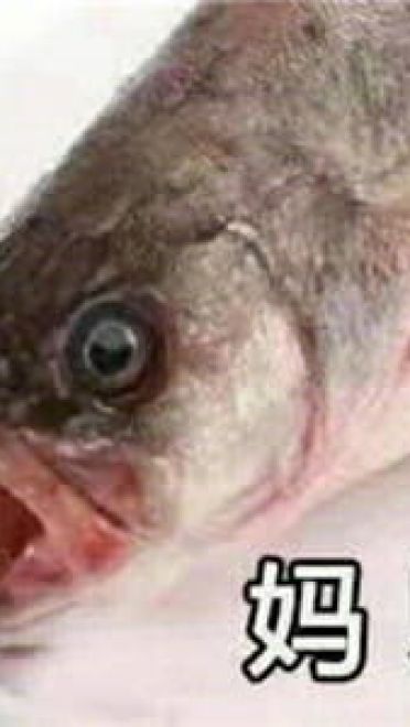 这是一组充满了咸鱼的表情包