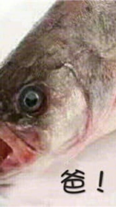 这是一组充满了咸鱼的表情包