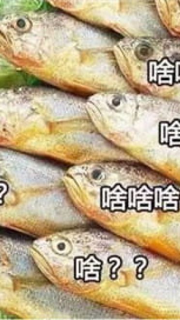 这是一组充满了咸鱼的表情包