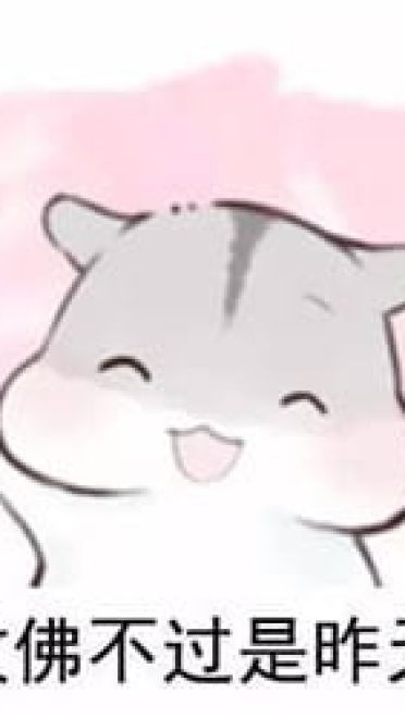 什么是真正的友谊？两只仓鼠告诉你！