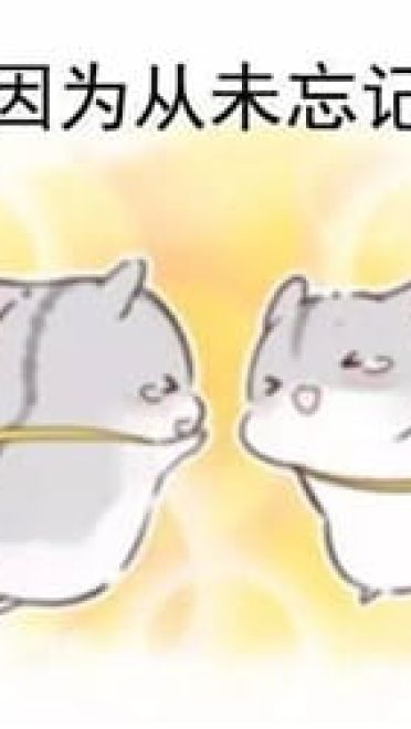 什么是真正的友谊？两只仓鼠告诉你！