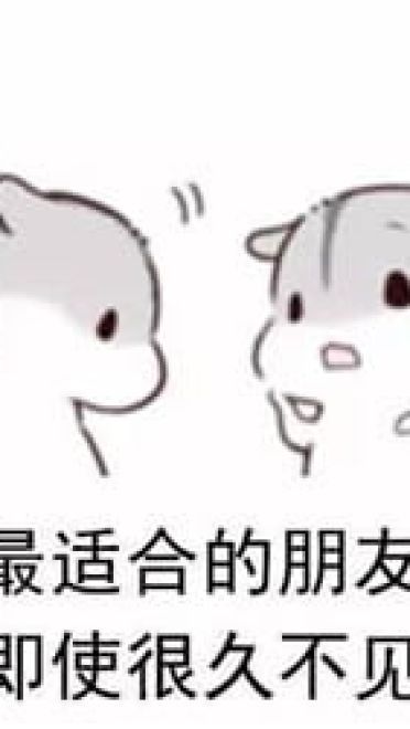 什么是真正的友谊？两只仓鼠告诉你！
