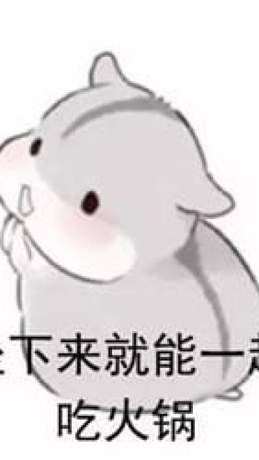 什么是真正的友谊？两只仓鼠告诉你！