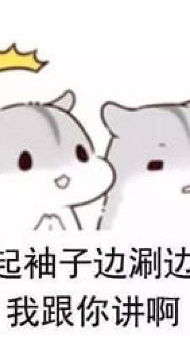 什么是真正的友谊？两只仓鼠告诉你！