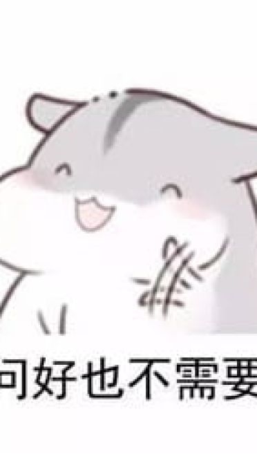 什么是真正的友谊？两只仓鼠告诉你！