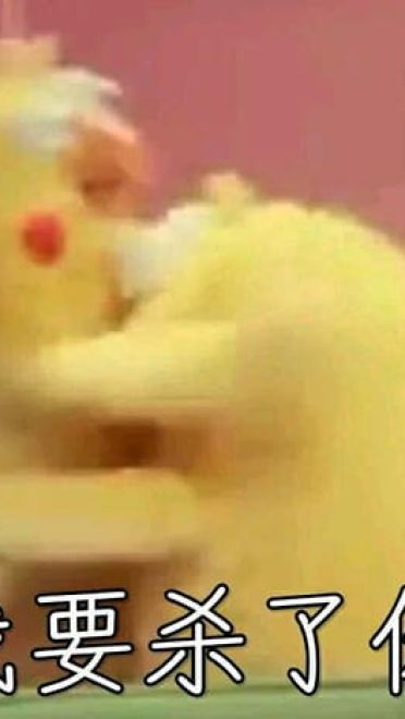 你良心不会痛吗？集合所以表情大全