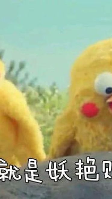 你良心不会痛吗？集合所以表情大全