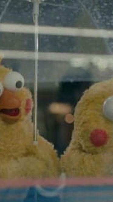 你良心不会痛吗？集合所以表情大全