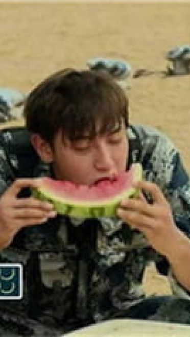 2017年比较火的表情包精选