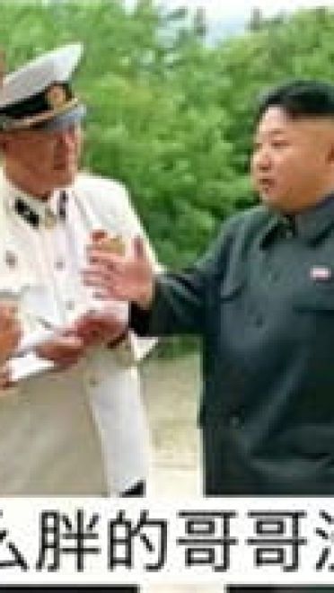 2017年比较火的表情包精选