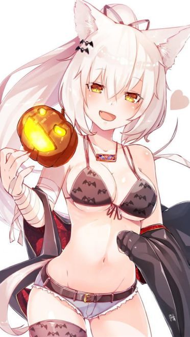 动漫高清猫耳娘手机壁纸