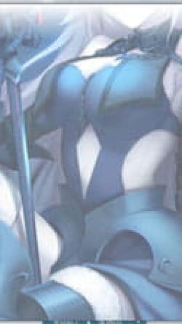 Fate/GO 黑贞德·Alter Win7电脑主题