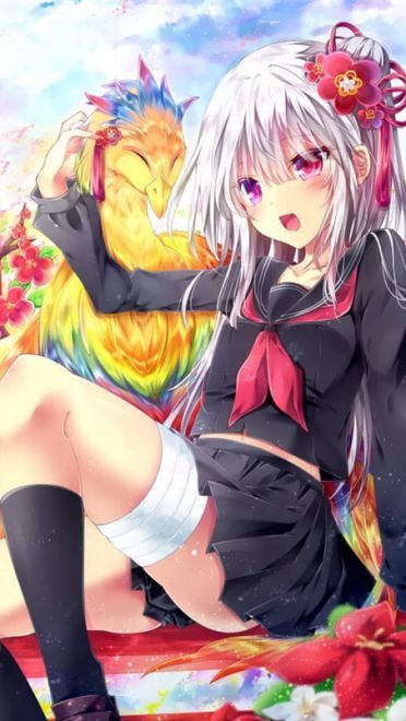 动漫丸子头少女手机壁纸