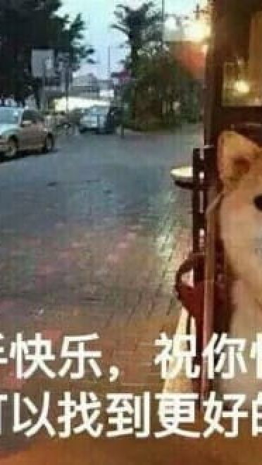 单身狗御用表情包