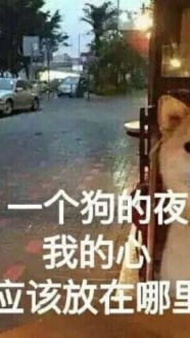 单身狗御用表情包