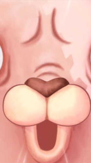 《越狱兔陪你嗨》萌化主题