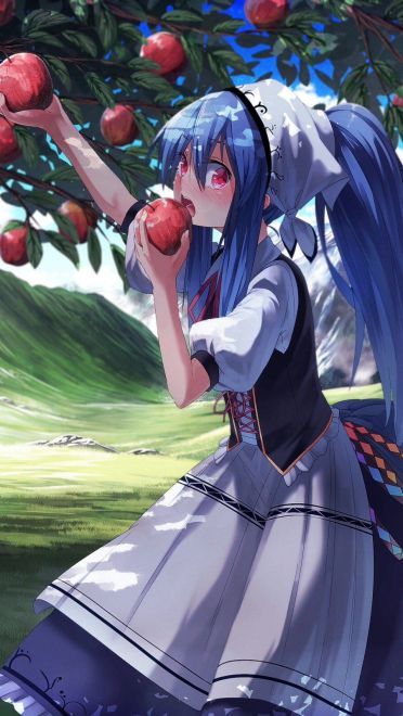 《东方Project》难道就只有本子？(1)