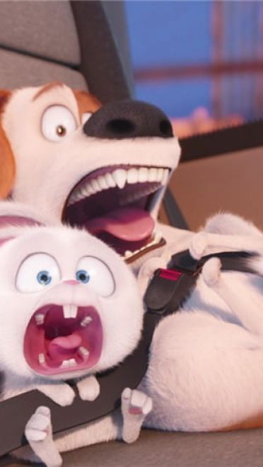 《爱宠大机密》萌化安卓主题