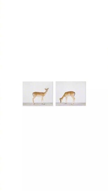 夏天的味道 小清新图片手机壁纸