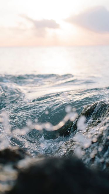 抓住最后的夏天小清新手机壁纸