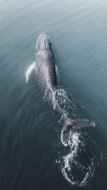 抓住最后的夏天小清新手机壁纸