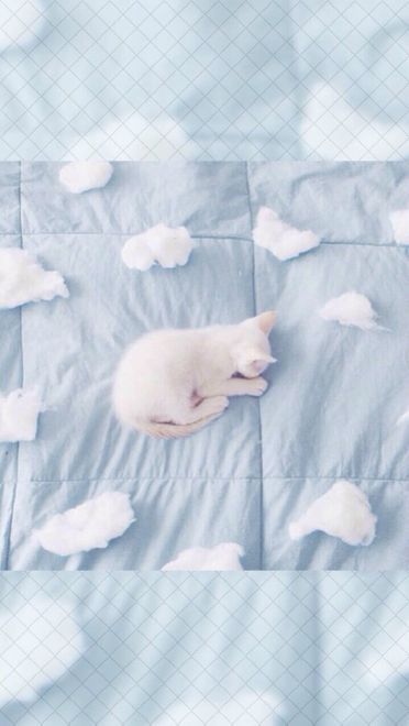 抓住最后的夏天小清新手机壁纸