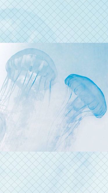 抓住最后的夏天小清新手机壁纸