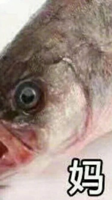 叫妈动物微信聊天表情包