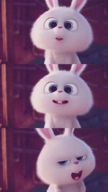 爱宠大机密 反差萌小兔子手机壁纸