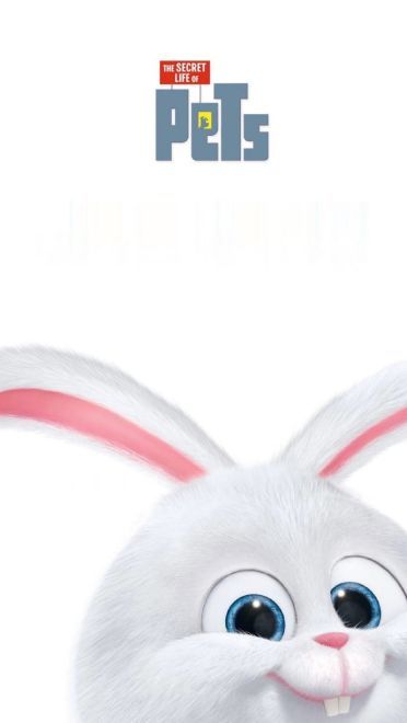 爱宠大机密 反差萌小兔子手机壁纸