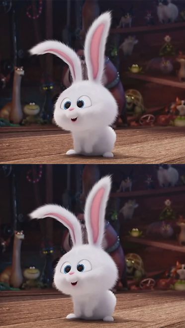 爱宠大机密 反差萌小兔子手机壁纸