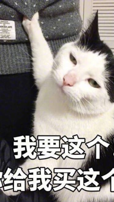 老公给我买这个 超可爱猫咪表情包