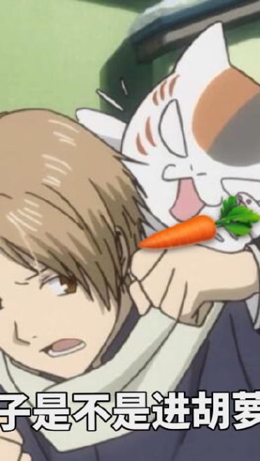 夏目友人帐 三三口娘表情包下载