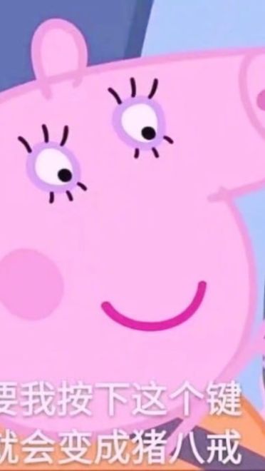 你算哪颗小饼干 小猪佩奇表情包第五辑下载