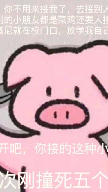 心肥意冷 可爱小猪猪表情包