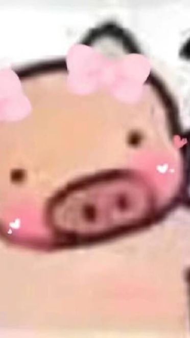 心肥意冷 可爱小猪猪表情包