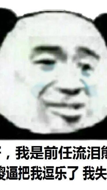 流泪熊猫头qq微信聊天表情包