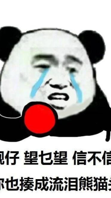 流泪熊猫头qq微信聊天表情包