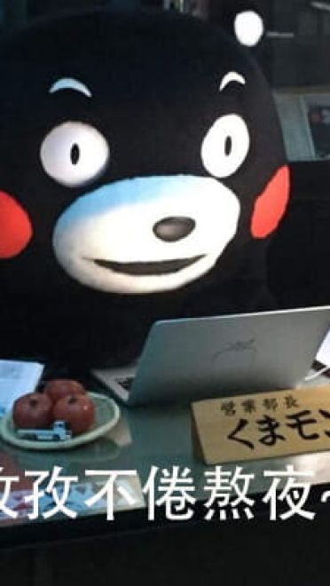 第一批老去的90后 熊本熊表情包