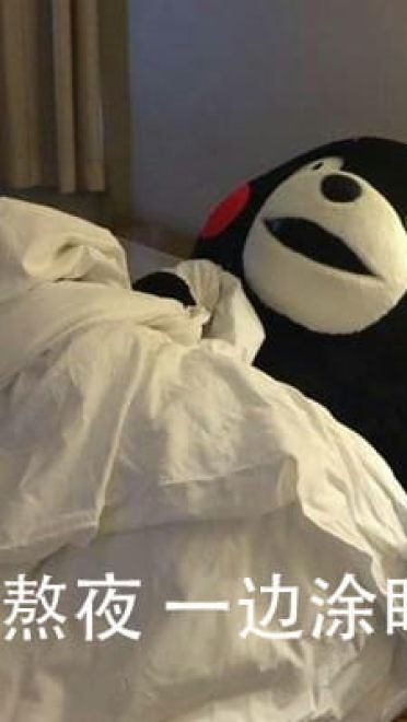 第一批老去的90后 熊本熊表情包