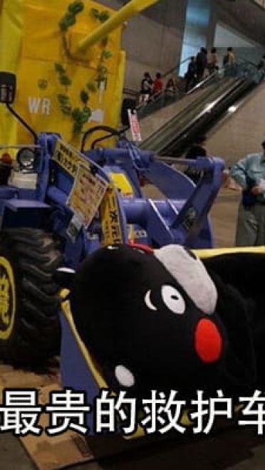 第一批老去的90后 熊本熊表情包