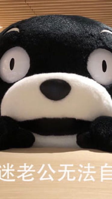 熊本熊之你是不是背着我在外面有熊了 可爱表情包