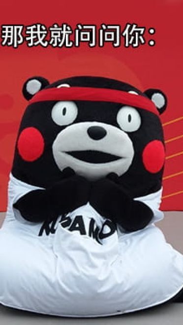 猪猪女孩的精致生活 熊本熊表情包