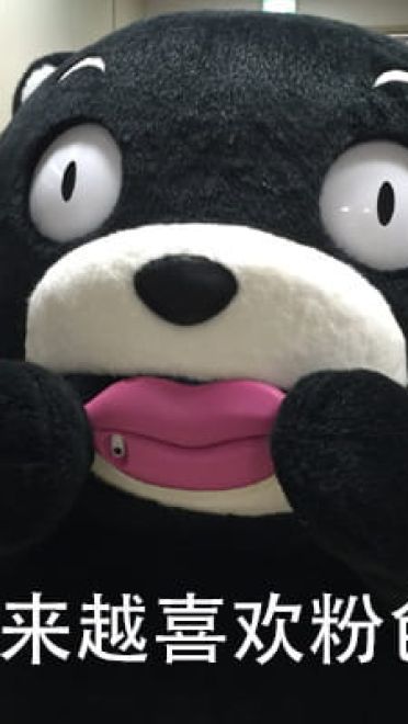 熊本熊之中年少女表情包