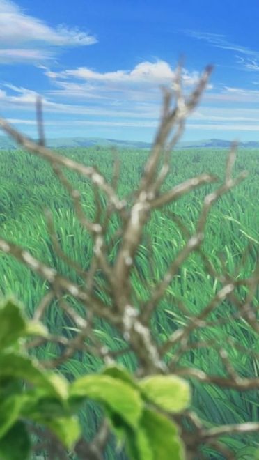 完结撒花~宝石之国自截电脑壁纸下载(1)