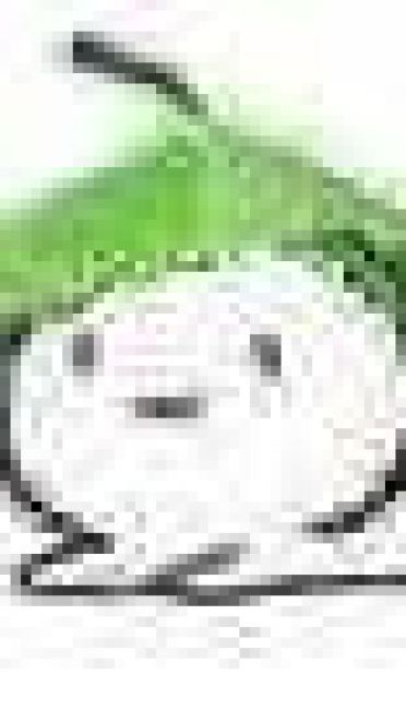 圣诞帽子表情包 绿帽子表情包