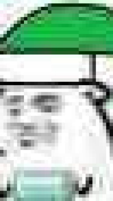 圣诞帽子表情包 绿帽子表情包