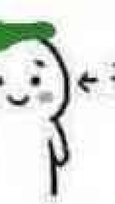 圣诞帽子表情包 绿帽子表情包