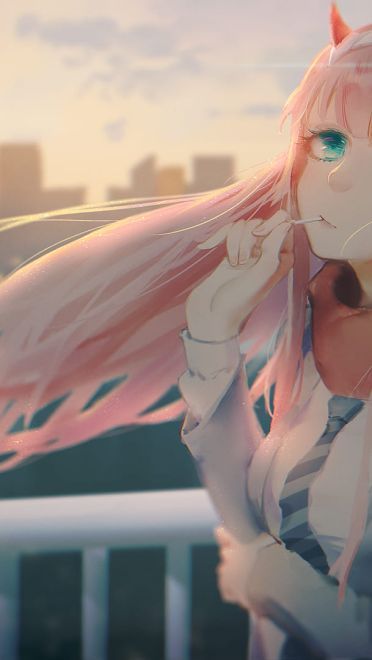 薇尔莉特K站壁纸20180123期(1)