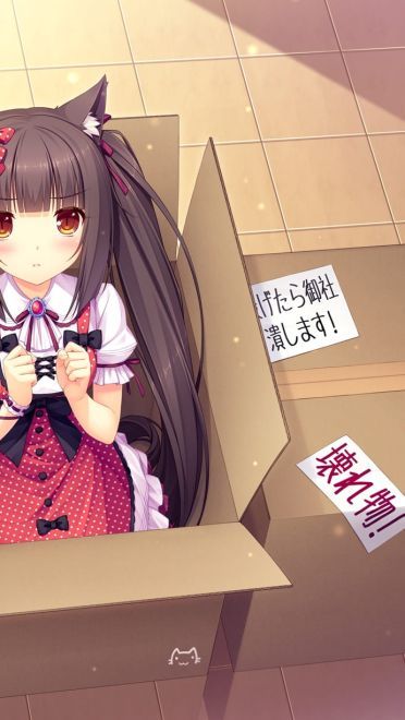 愿我暖你今后岁月 K站壁纸20180213期(1)